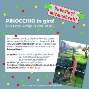 VDIG_Pinocchio in giro